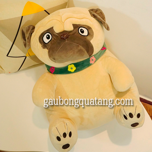 thu-nhoi-bong-cho-pug