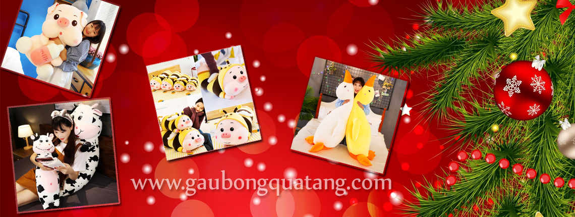 gấu bông giá rẻ